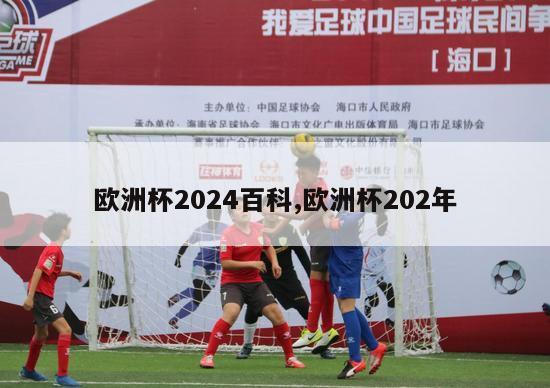 欧洲杯2024百科,欧洲杯202年