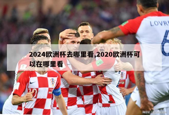 2024欧洲杯去哪里看,2020欧洲杯可以在哪里看