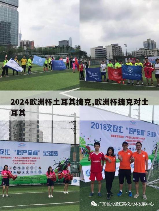 2024欧洲杯土耳其捷克,欧洲杯捷克对土耳其